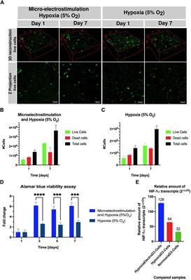 Conductive extracellular matrix derived/chitosan methacrylate/ graphene oxide-pegylated hybrid hydrogel for cell expansion